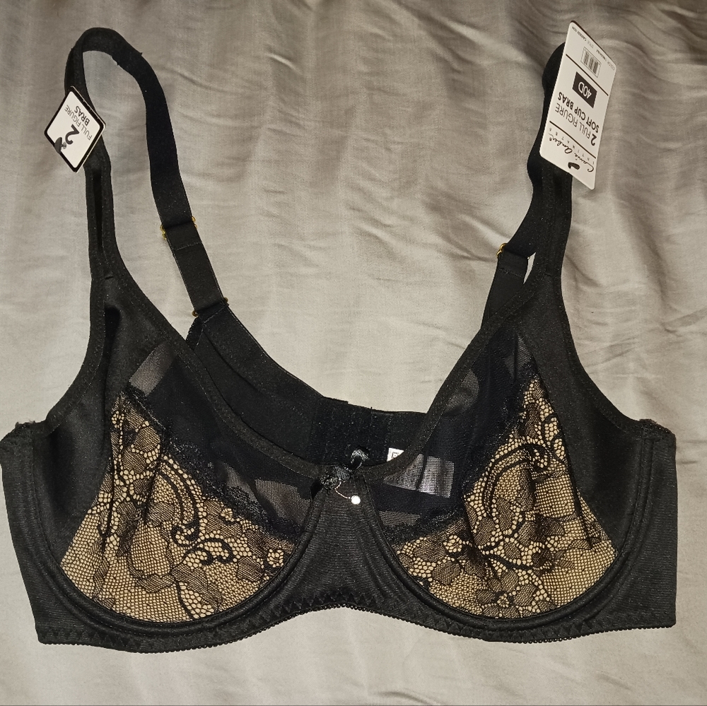NWT! CARRIE AMBER BRA Sz 40D